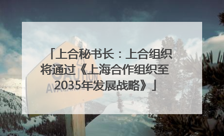 上合秘书长：上合组织将通过《上海合作组织至2035年发展战略》