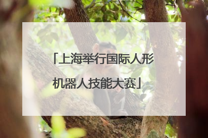 上海举行国际人形机器人技能大赛
