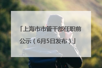 上海市市管干部任职前公示（6月5日发布）