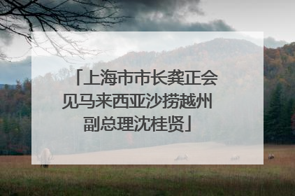 上海市市长龚正会见马来西亚沙捞越州副总理沈桂贤