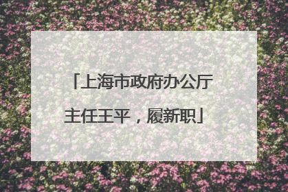 上海市政府办公厅主任王平，履新职