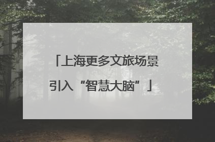 上海更多文旅场景引入“智慧大脑”