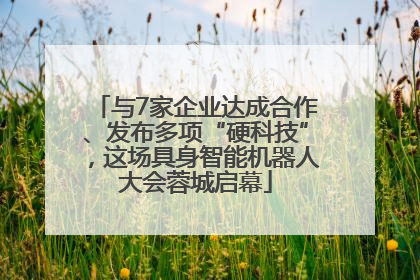 与7家企业达成合作、发布多项“硬科技”，这场具身智能机器人大会蓉城启幕