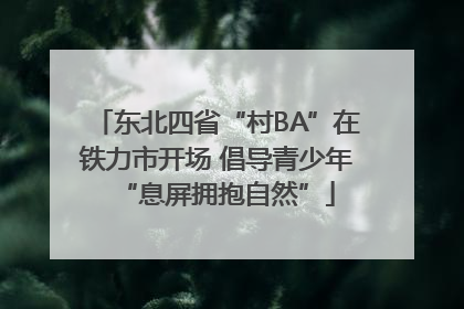 东北四省“村BA”在铁力市开场 倡导青少年“息屏拥抱自然”