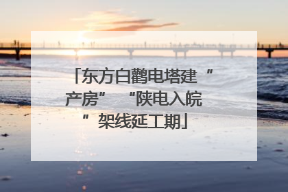 东方白鹳电塔建“产房” “陕电入皖”架线延工期
