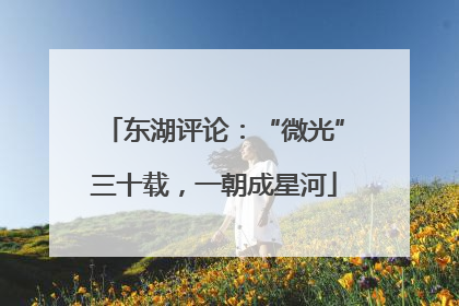 东湖评论：“微光”三十载，一朝成星河