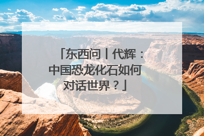 东西问丨代辉：中国恐龙化石如何对话世界？