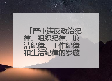 严重违反政治纪律、组织纪律、廉洁纪律、工作纪律和生活纪律的罗璇，非法收受他人巨额财物