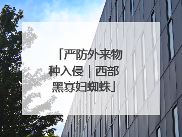 严防外来物种入侵｜西部黑寡妇蜘蛛