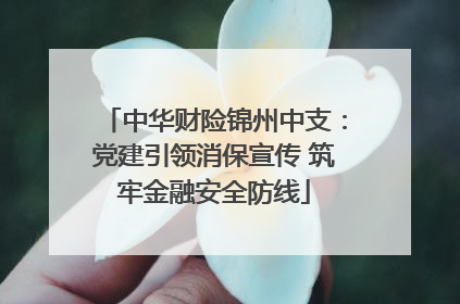 中华财险锦州中支：党建引领消保宣传 筑牢金融安全防线