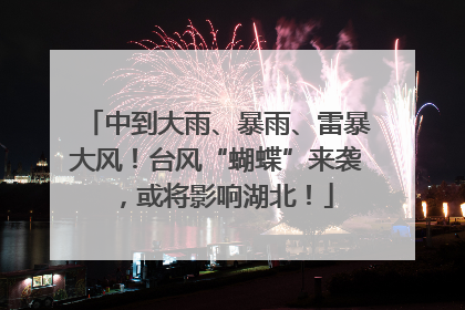 中到大雨、暴雨、雷暴大风！台风“蝴蝶”来袭，或将影响湖北！