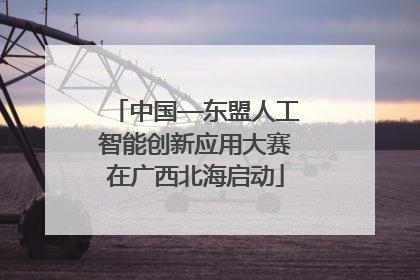 中国—东盟人工智能创新应用大赛在广西北海启动