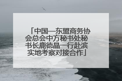 中国—东盟商务协会总会中方秘书处秘书长鹿德晶一行赴滨实地考察对接合作