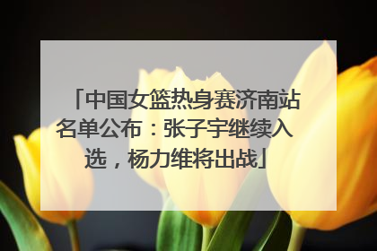 中国女篮热身赛济南站名单公布：张子宇继续入选，杨力维将出战