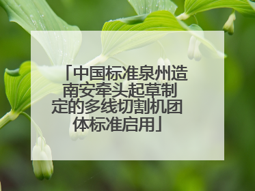 中国标准泉州造 南安牵头起草制定的多线切割机团体标准启用