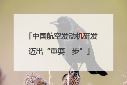 中国航空发动机研发迈出“重要一步”