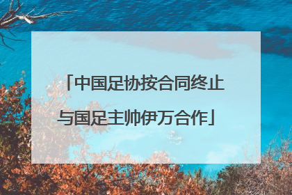 中国足协按合同终止与国足主帅伊万合作