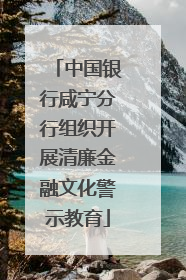 中国银行咸宁分行组织开展清廉金融文化警示教育