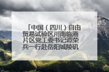中国（四川）自由贸易试验区川南临港片区党工委书记谭荣兵一行赴岳阳城陵矶综保区考察