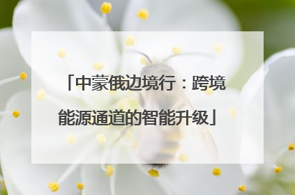 中蒙俄边境行：跨境能源通道的智能升级