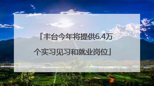 丰台今年将提供6.4万个实习见习和就业岗位