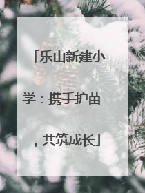 乐山新建小学：携手护苗，共筑成长