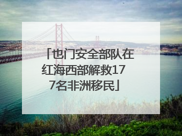 也门安全部队在红海西部解救177名非洲移民