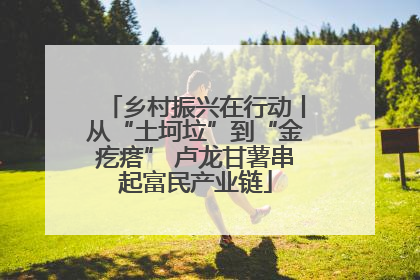 乡村振兴在行动丨从“土坷垃”到“金疙瘩” 卢龙甘薯串起富民产业链
