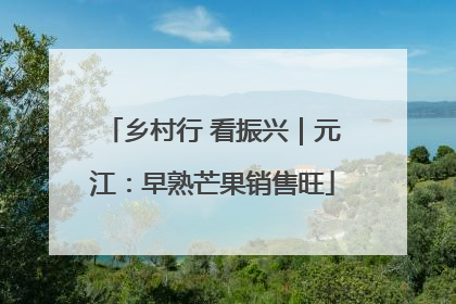 乡村行 看振兴｜元江：早熟芒果销售旺