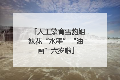 人工繁育雪豹姐妹花“水墨”“油画”六岁啦