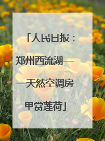 人民日报：郑州西流湖——天然空调房里赏莲荷