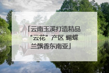 云南玉溪打造精品“云花”产区 蝴蝶兰飘香东南亚
