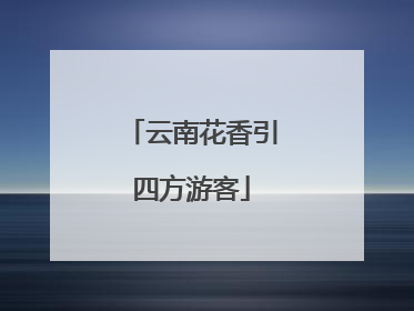 云南花香引四方游客