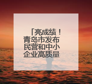亮成绩！青岛市发布民营和中小企业高质量发展“半年报”