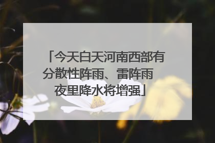 今天白天河南西部有分散性阵雨、雷阵雨 夜里降水将增强