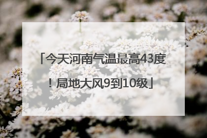 今天河南气温最高43度！局地大风9到10级