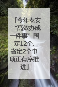 今年泰安“高效办成一件事”国定12个、省定2个事项正有序推进