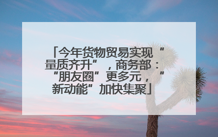今年货物贸易实现“量质齐升”，商务部：“朋友圈”更多元，“新动能”加快集聚