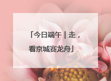 今日端午｜走，看京城赛龙舟