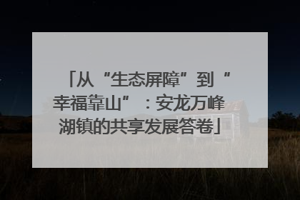 从“生态屏障”到“幸福靠山”：安龙万峰湖镇的共享发展答卷