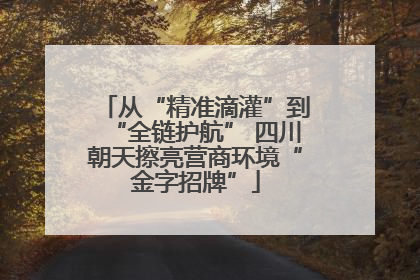 从“精准滴灌”到“全链护航” 四川朝天擦亮营商环境“金字招牌”