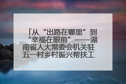 从“出路在哪里”到“幸福在眼前”——湖南省人大常委会机关驻五一村乡村振兴帮扶工作队书写振兴答卷