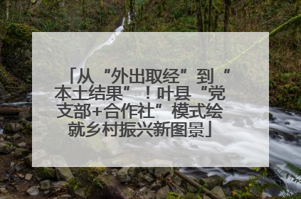 从“外出取经”到“本土结果”！叶县“党支部+合作社”模式绘就乡村振兴新图景