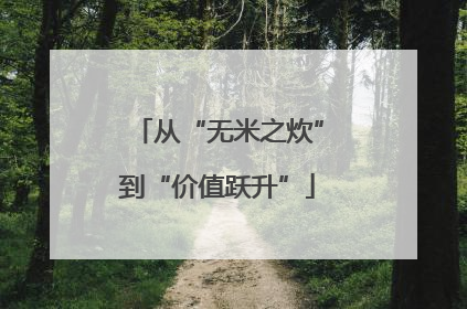 从“无米之炊”到“价值跃升”