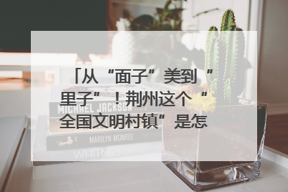 从“面子”美到“里子”！荆州这个“全国文明村镇”是怎样炼成的？
