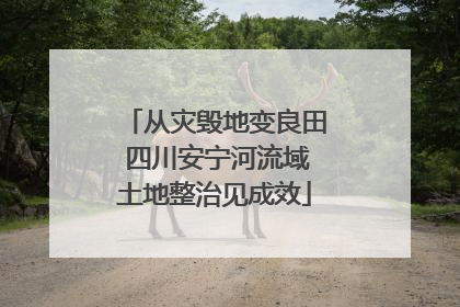 从灾毁地变良田 四川安宁河流域土地整治见成效