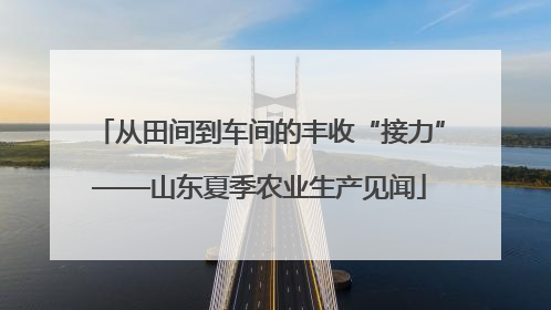 从田间到车间的丰收“接力”——山东夏季农业生产见闻
