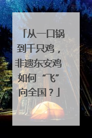 从一口锅到千只鸡，非遗东安鸡如何“飞”向全国？