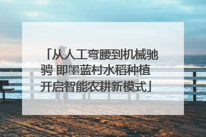 从人工弯腰到机械驰骋 即墨蓝村水稻种植开启智能农耕新模式