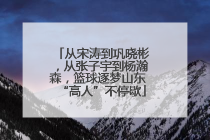 从宋涛到巩晓彬，从张子宇到杨瀚森，篮球逐梦山东“高人”不停歇